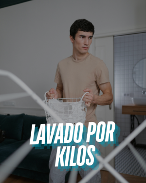 Lavandería a Domicilio